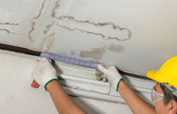 Reliable Burst Pipe Cleanup contractor in Avoca, MI by Water Damage Irwin